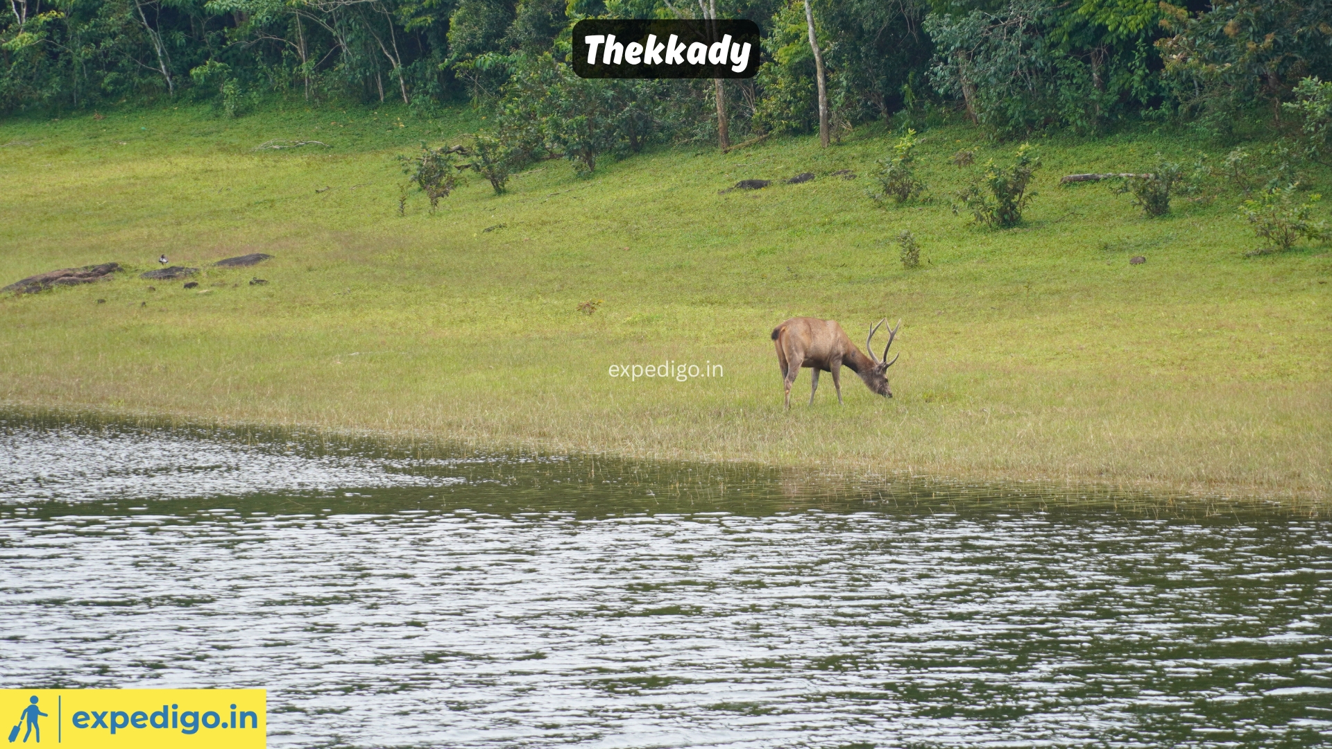 Places to Visit in Kerala