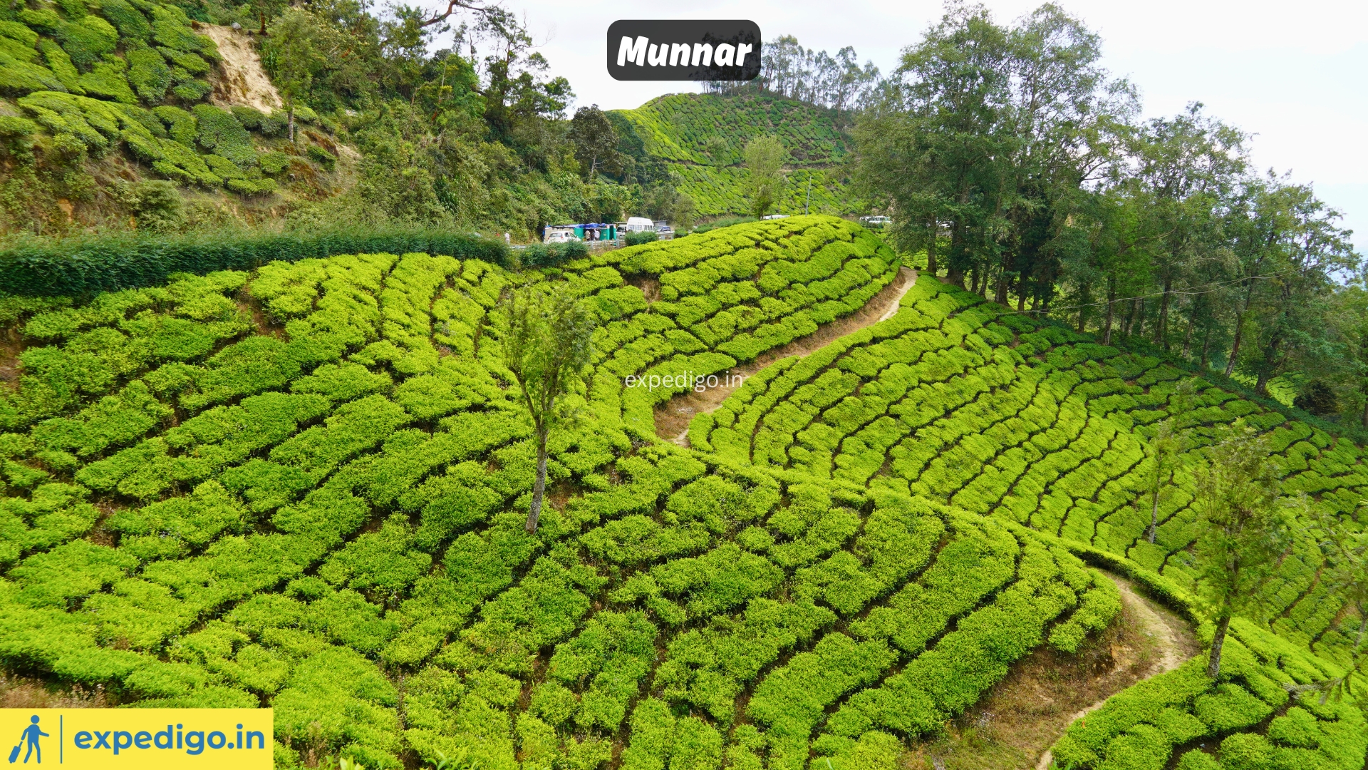 Places to Visit in Kerala