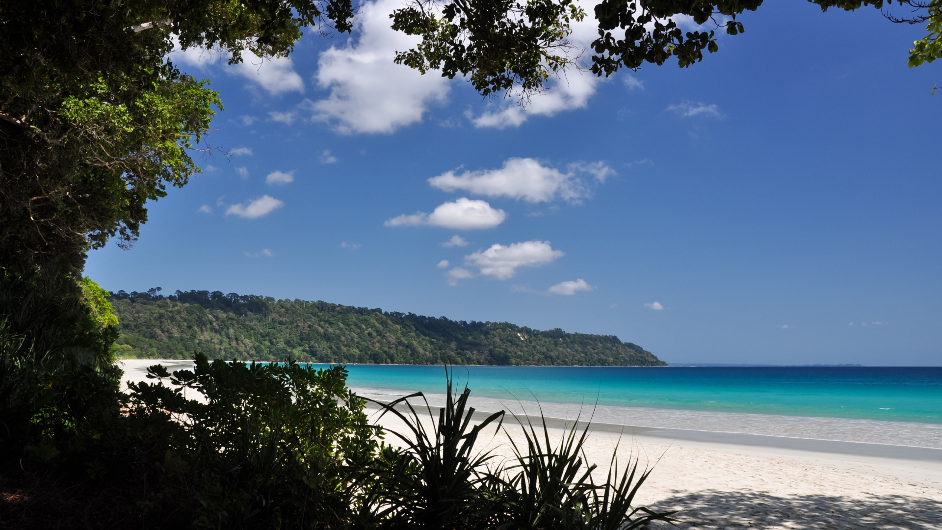 Radhanagar Beach_Havelock Island_Andaman Tour Packages